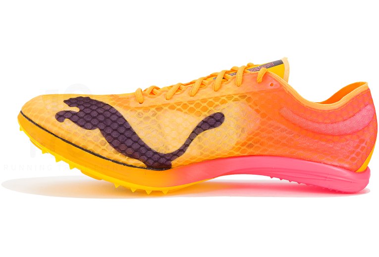 Puma evoSPEED Distance Nitro Elite+ M