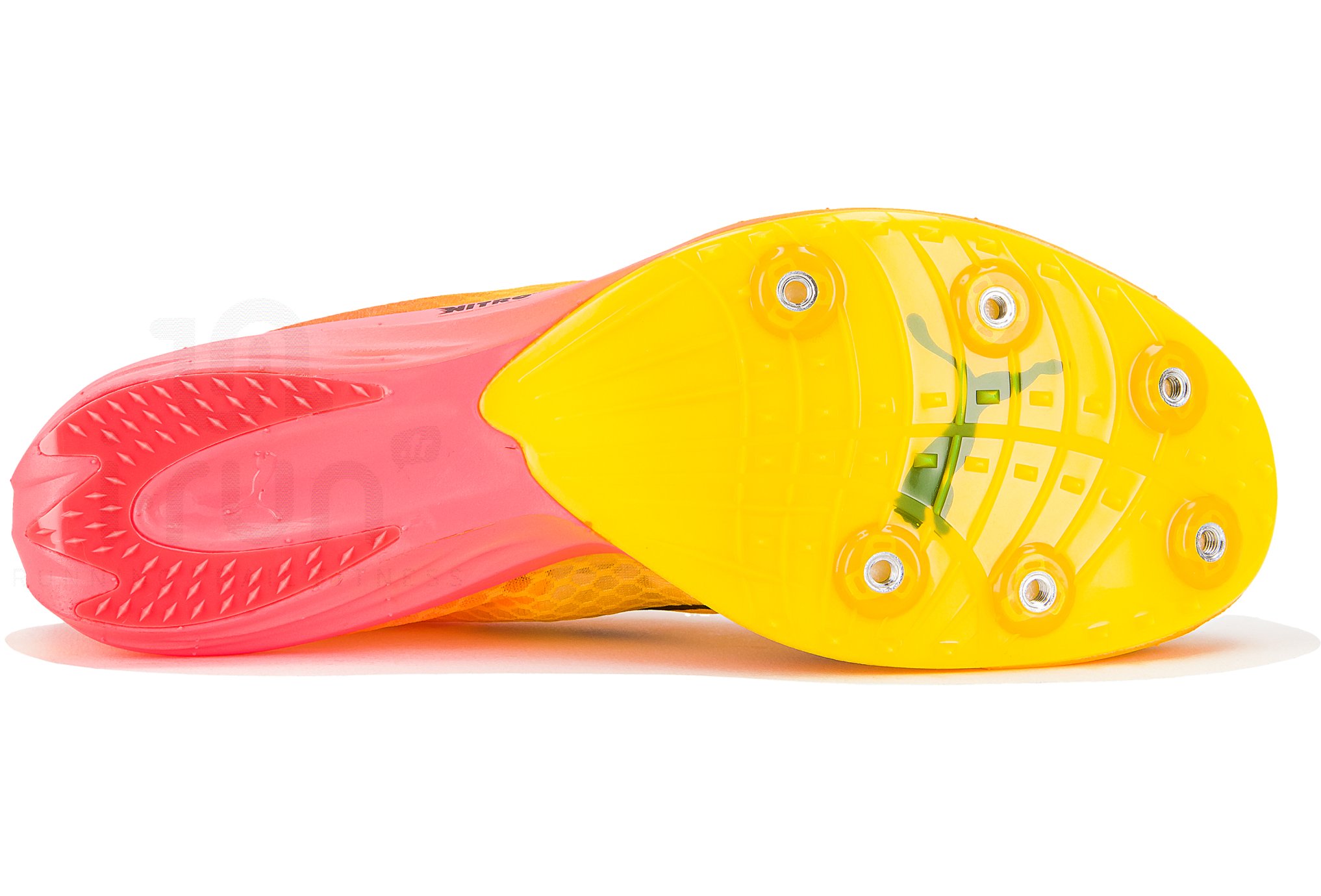 Puma evoSPEED Distance Nitro Elite+ W