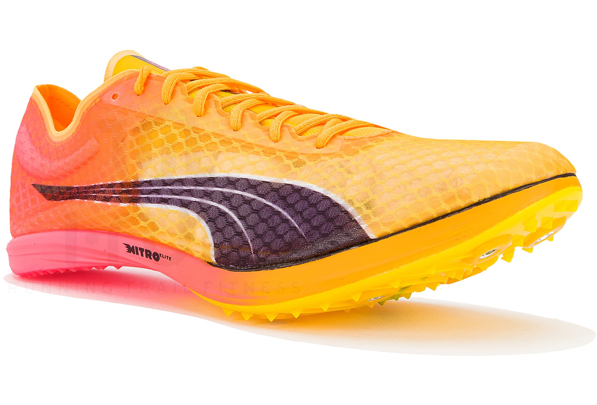 Puma evoSPEED Distance Nitro Elite+ W