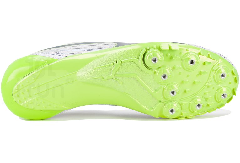 Puma evoSPEED Electric 12 Herren