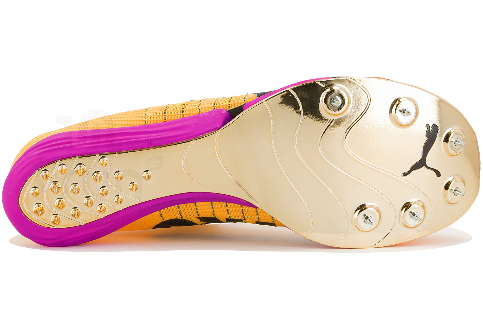 Puma evoSPEED Forte Nitro Elite