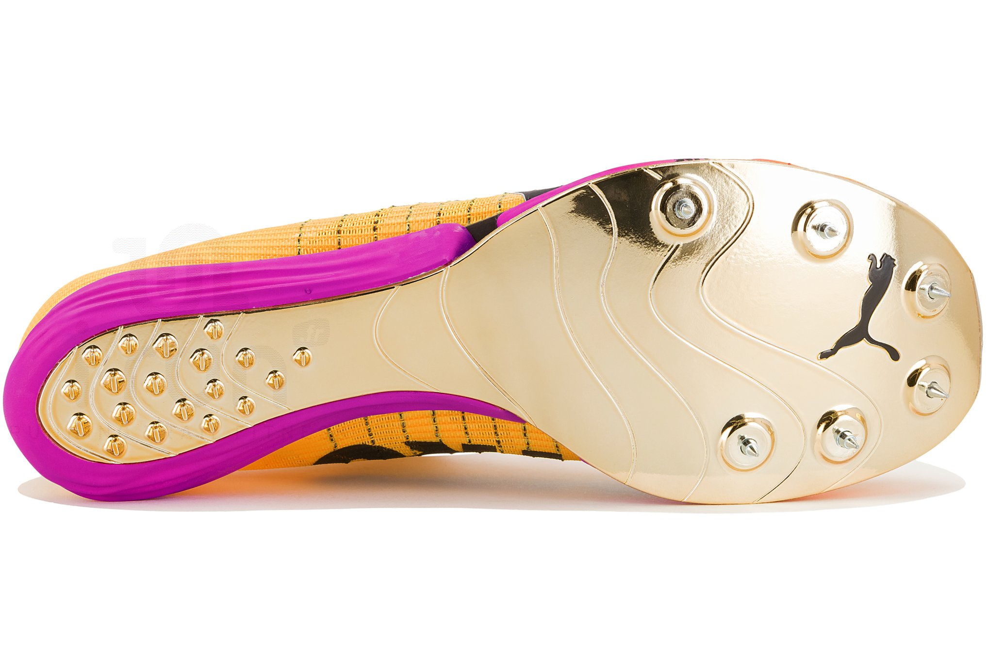 Puma evoSPEED Forte Nitro Elite
