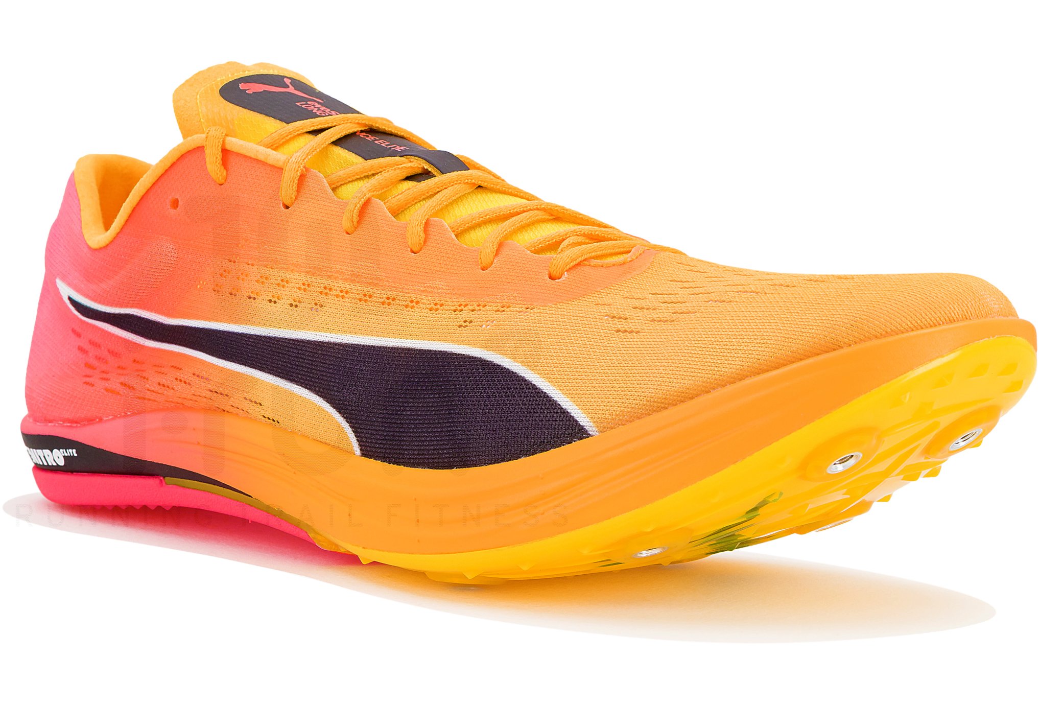 Puma evoSPEED LD Nitro Elite+ M special offer | Men Shoes