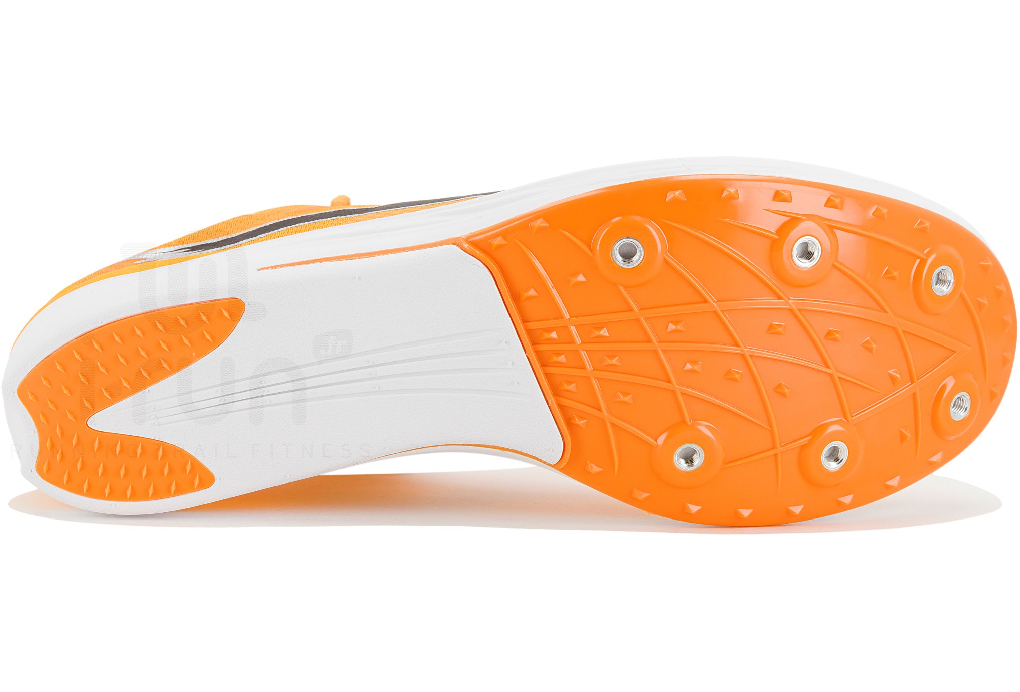 Puma evoSPEED Long Distance