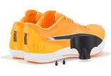 Puma evoSPEED Long Distance