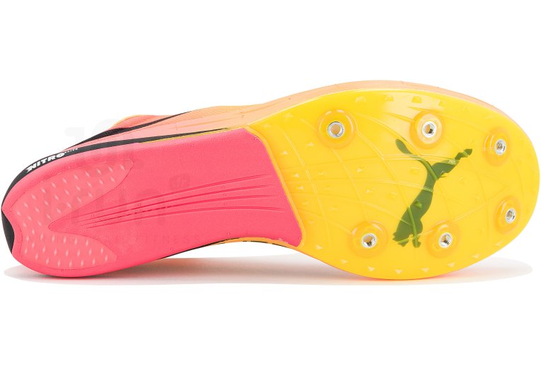Puma evoSPEED Long Distance Nitro Elite+ 2 M