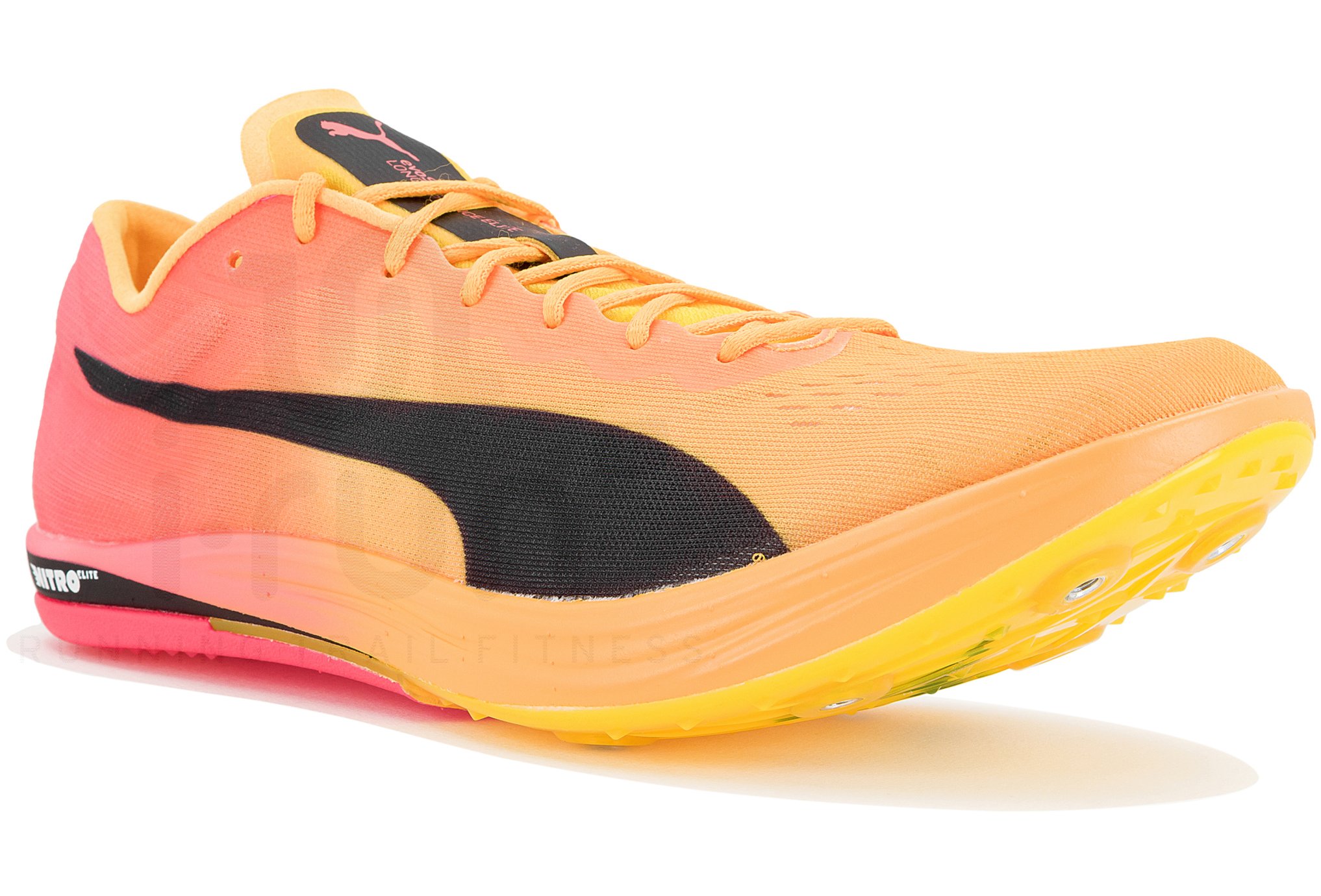 Puma evoSPEED Long Distance Nitro Elite+ 2 M special offer | Men