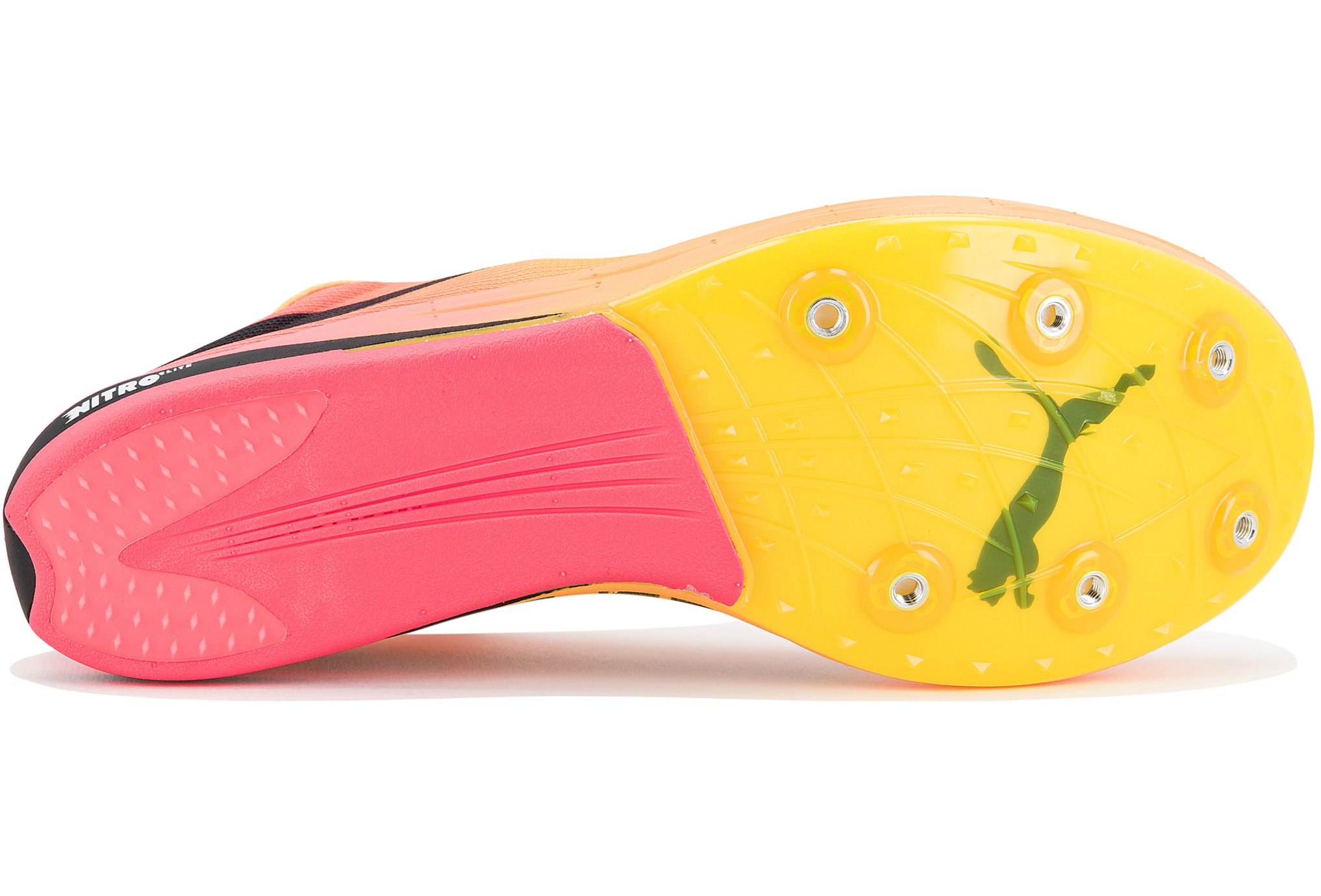 Puma evoSPEED Long Distance Nitro Elite+ 2 W