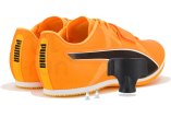 Puma evoSPEED Long Jump 11