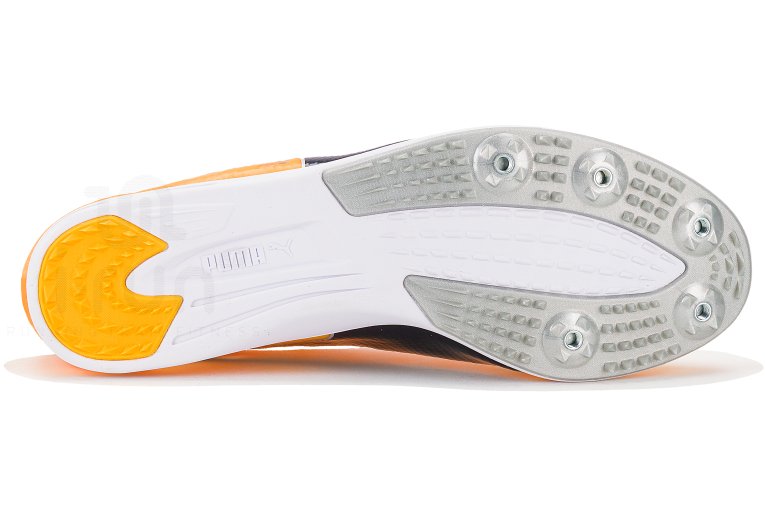 Puma evoSPEED Mid-Distance 4 W