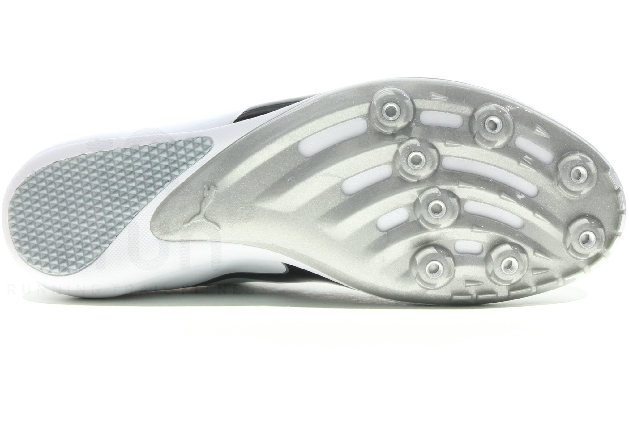 Puma EvoSpeed Sprint 10 Herren