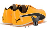 Puma evoSPEED Sprint 14.5