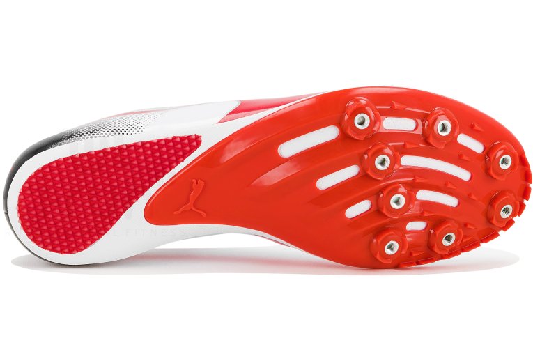Puma evoSPEED Sprint 14 M