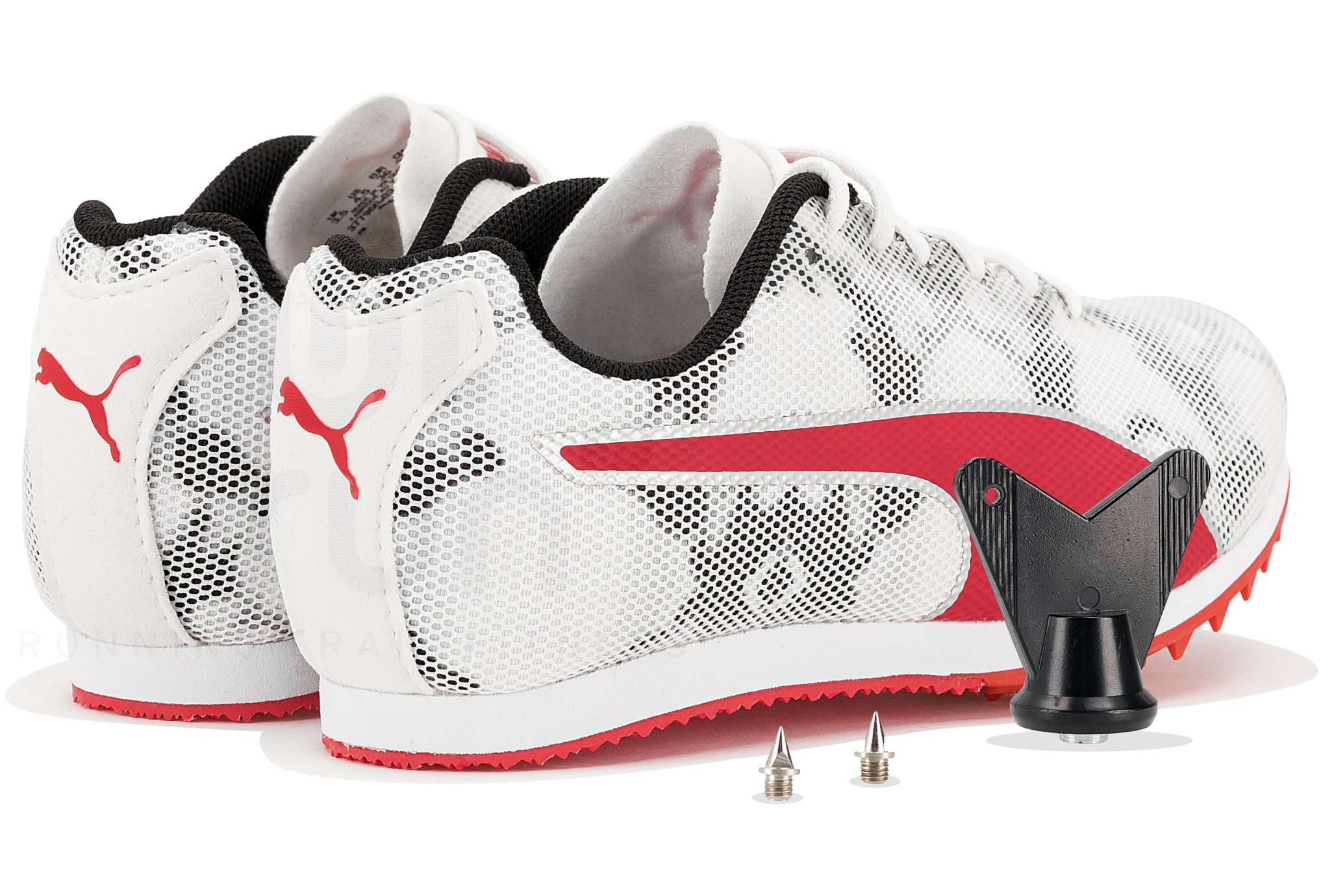 Puma evoSPEED Star 8