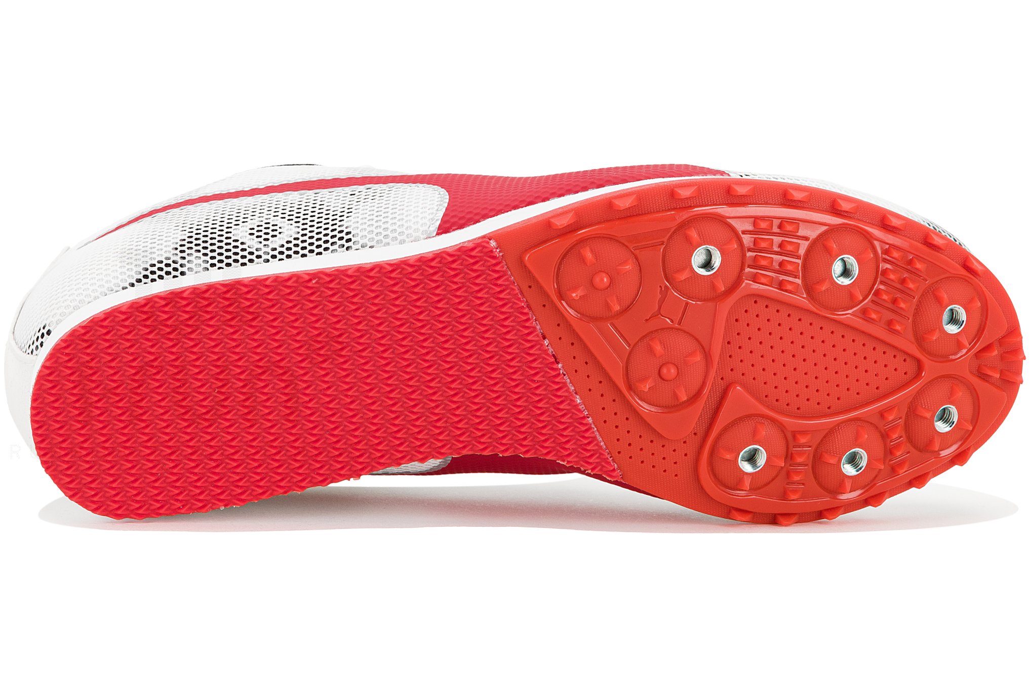 Puma evoSPEED Star 8