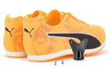 Puma evoSPEED Star 8