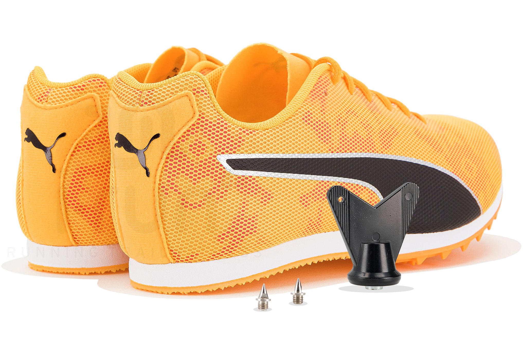 Puma evoSPEED Star 8 W