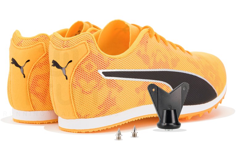 Puma evoSPEED Star 8 W 