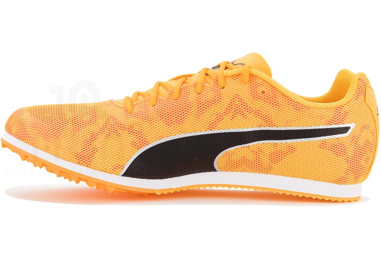 Puma evoSPEED Star 8 W 