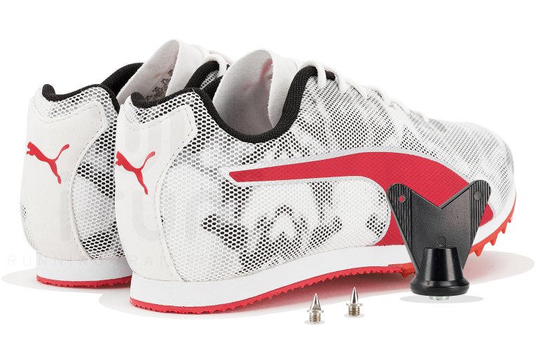 Puma evoSPEED Star 8