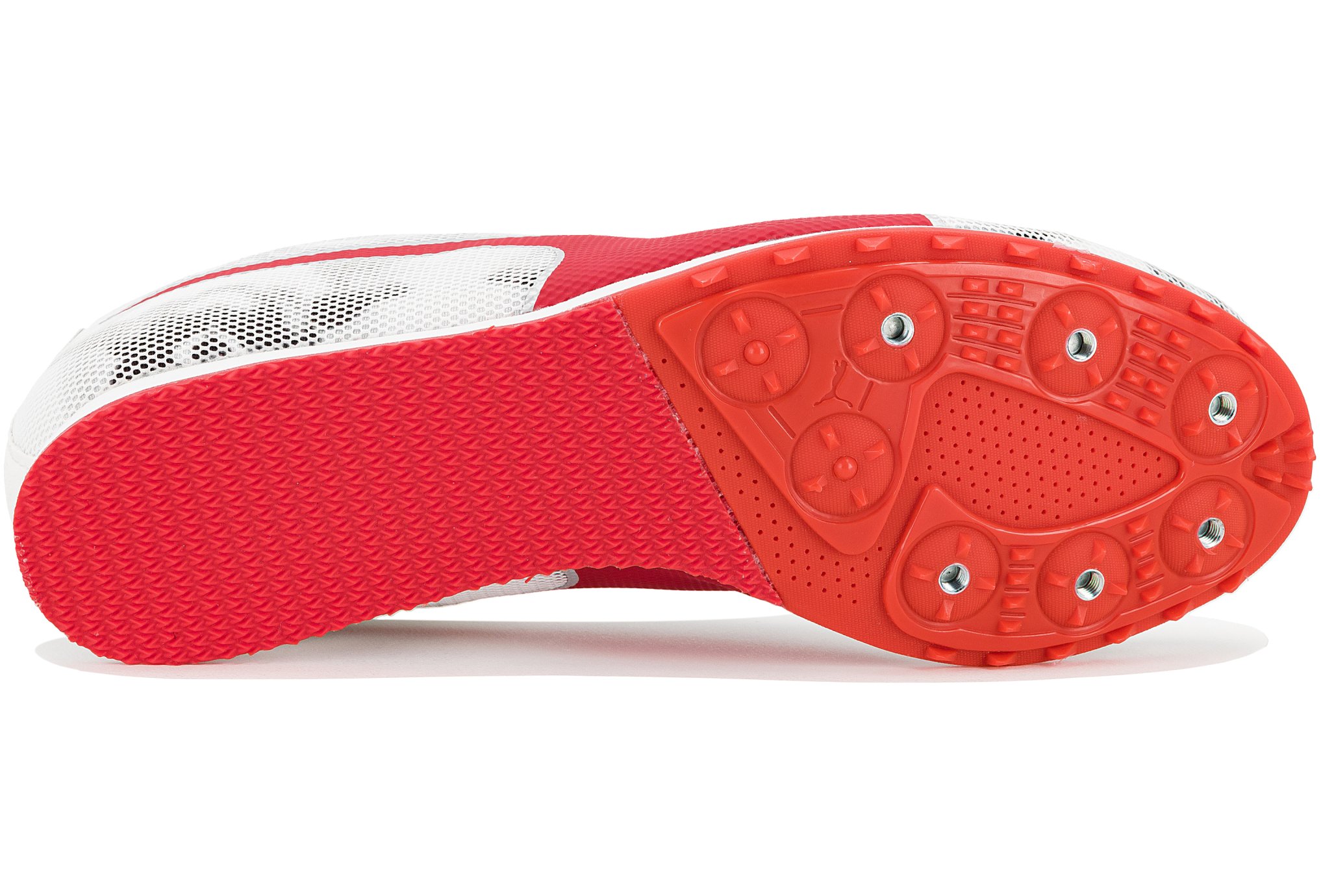 Puma evoSPEED Star 8