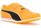 Puma evoSPEED Triple Jump 11 Herren