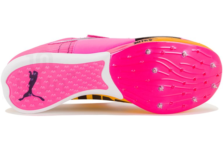 Puma evoSPEED Triple Jump Nitro Elite 2 | Women Shoes Athletics Puma
