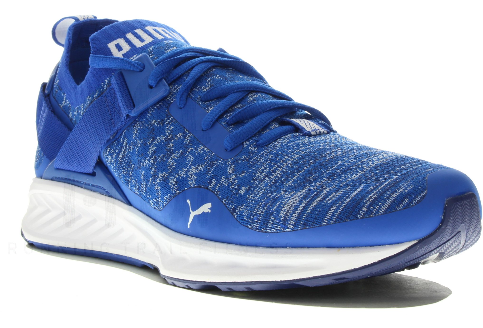 Puma Ignite EvoKnit Lo M