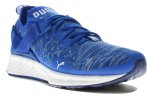 Puma Ignite EvoKnit Lo M