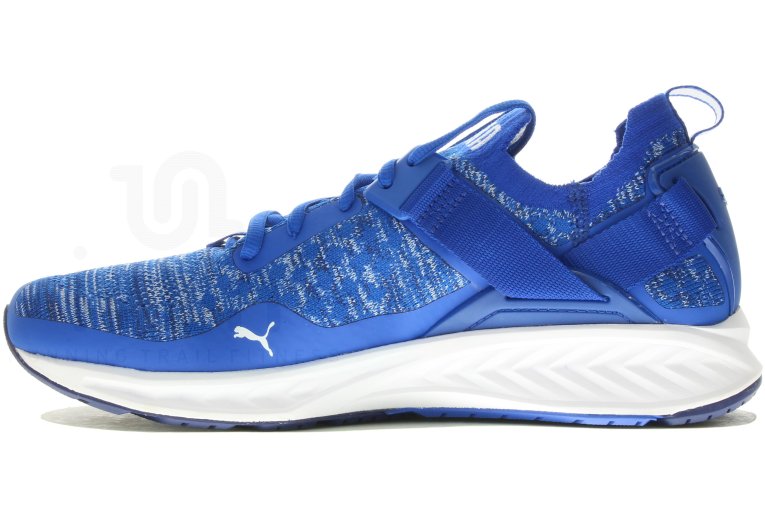 Puma Ignite EvoKnit Lo M