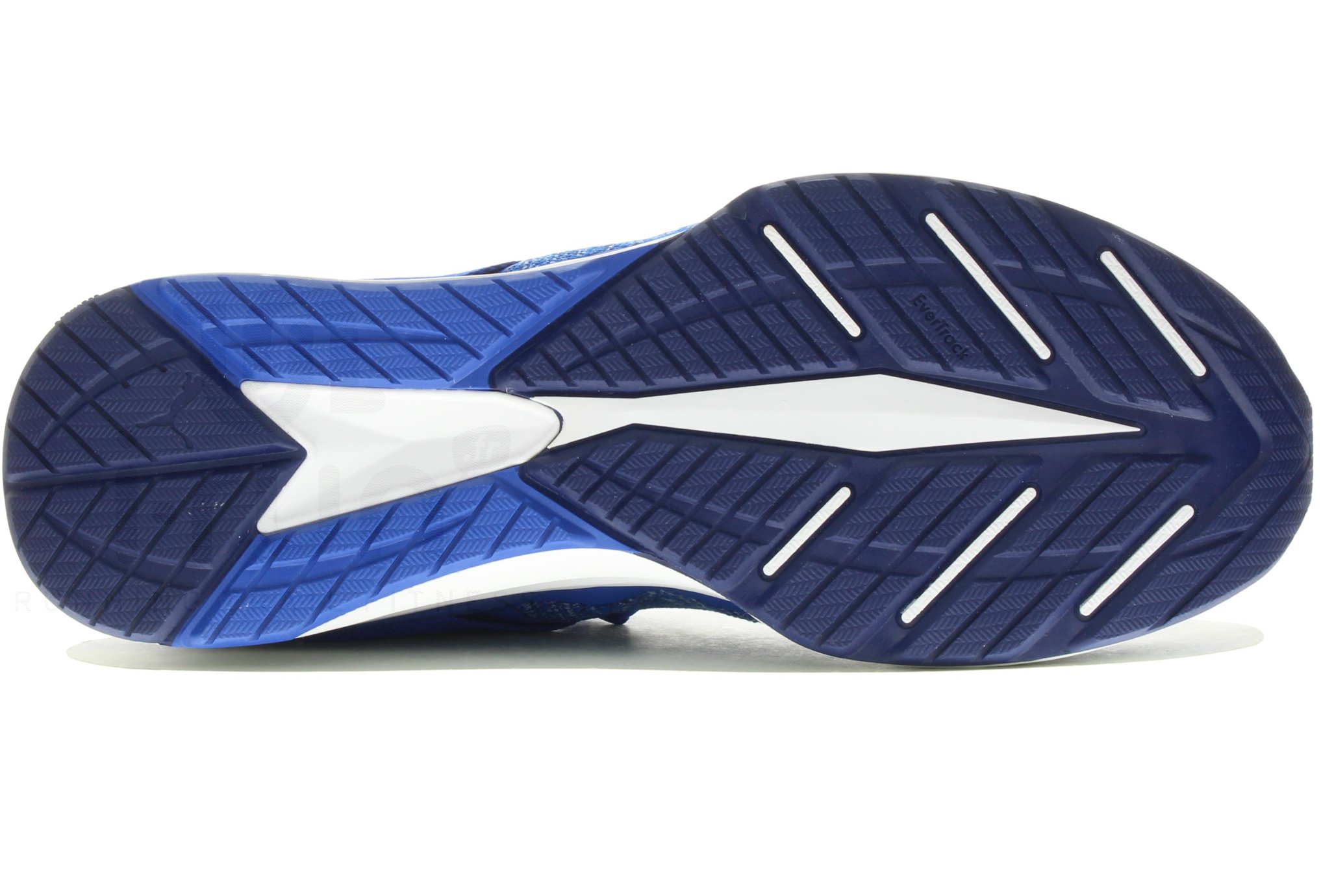 Puma Ignite EvoKnit Lo M
