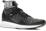 Puma Ignite EvoKnit