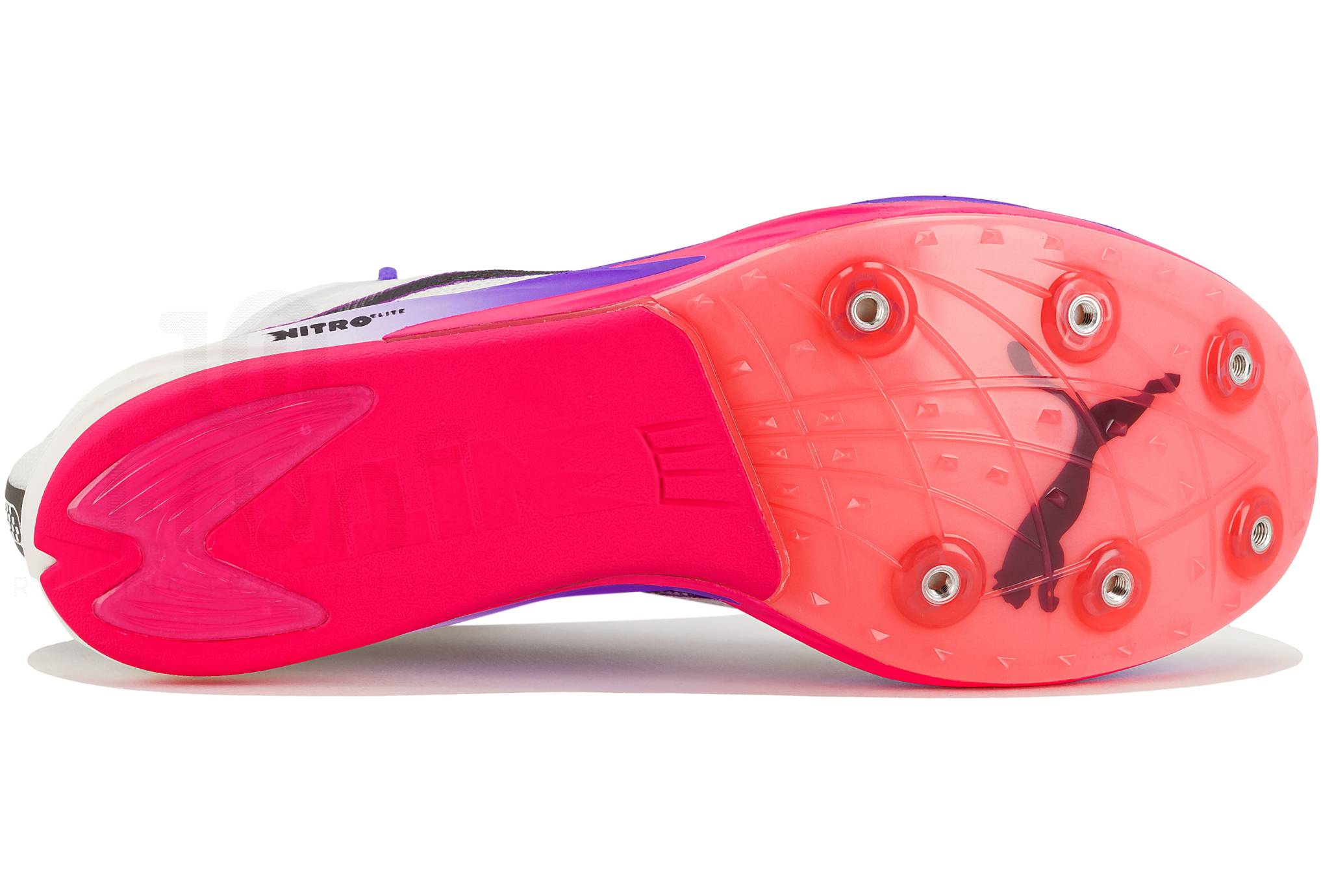 Puma Long Distance Nitro Elite 3 x Digitokyo