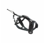 Raidlight Harnais i-Dog