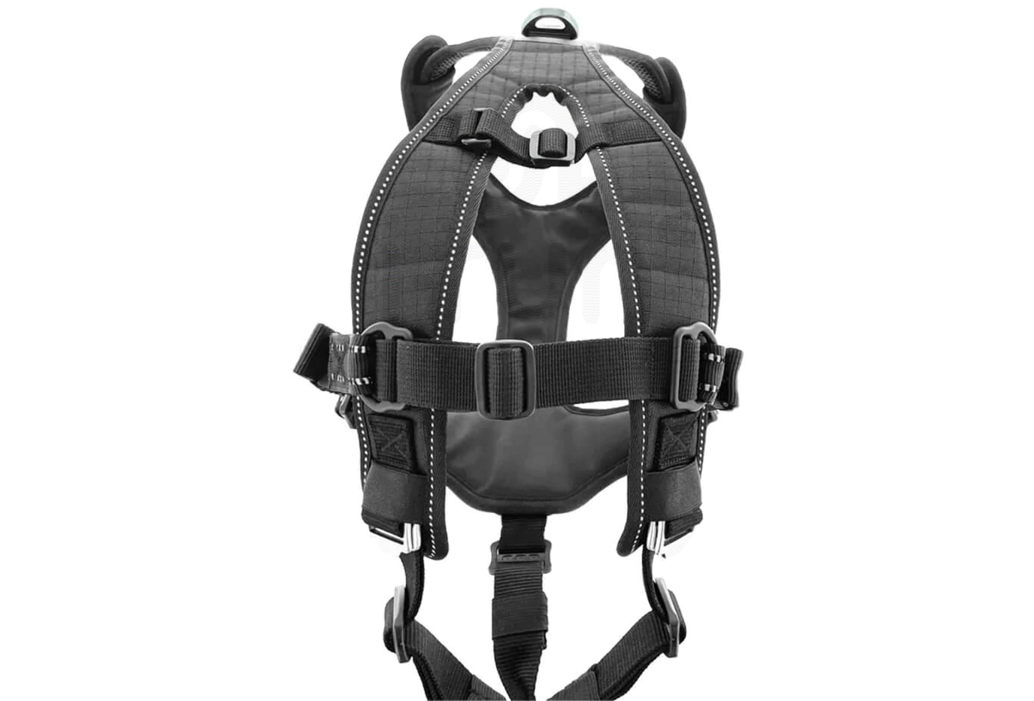 Raidlight Harnais i-Dog