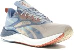 Reebok Floatride Energy 3.0 Adventure
