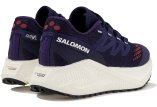 Salomon Aero Glide 3 GRVL
