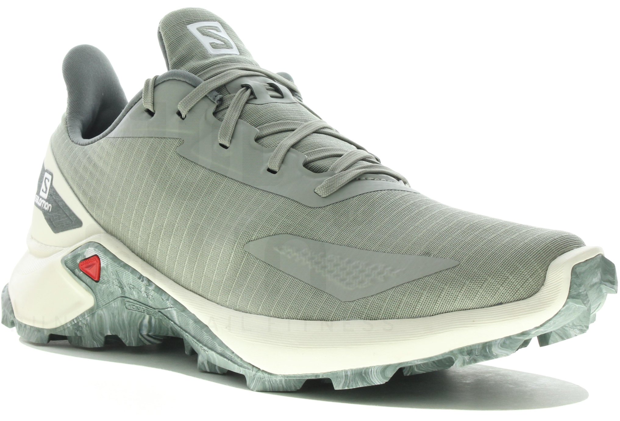 Salomon Alphacross Blast M 