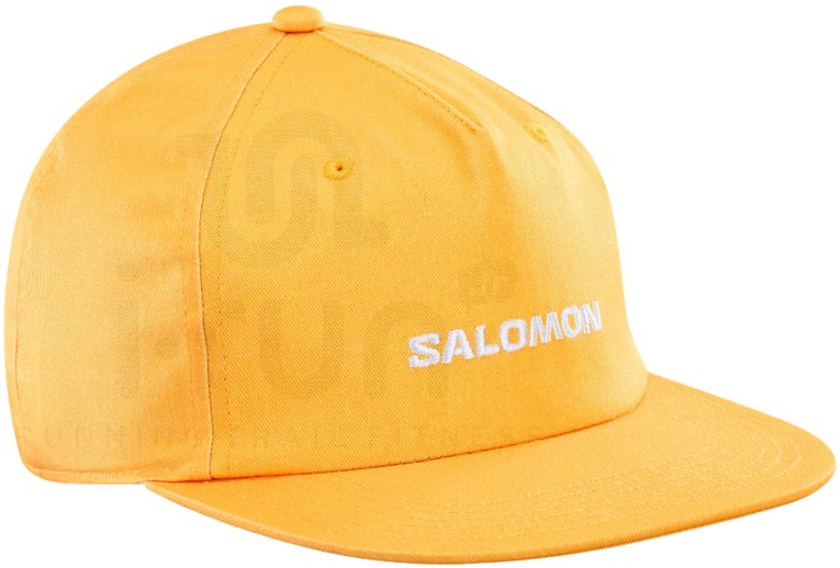 Salomon Cap Flat
