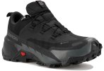 Salomon Cross Hike 2 Gore-Tex Herren