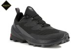 Salomon Cross Over 2 Gore-Tex Herren
