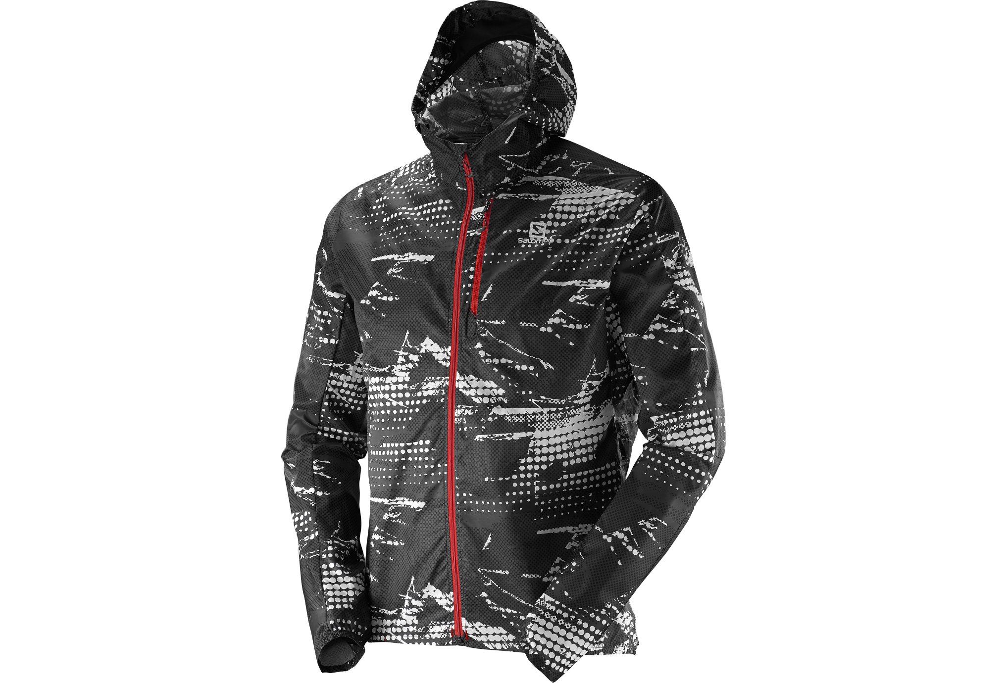 Salomon Fast Wing Graphic Hoodie