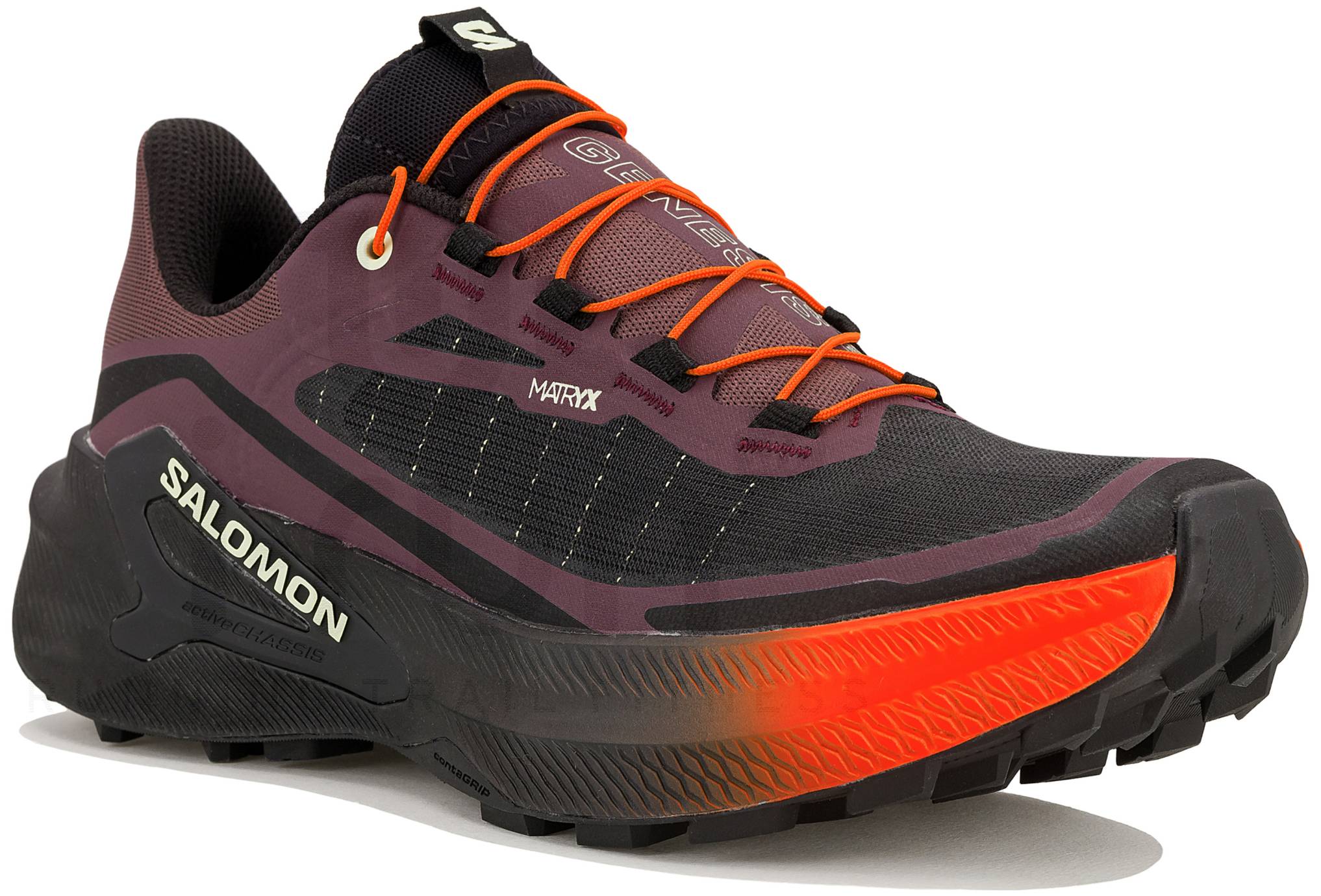 Salomon Genesis 2