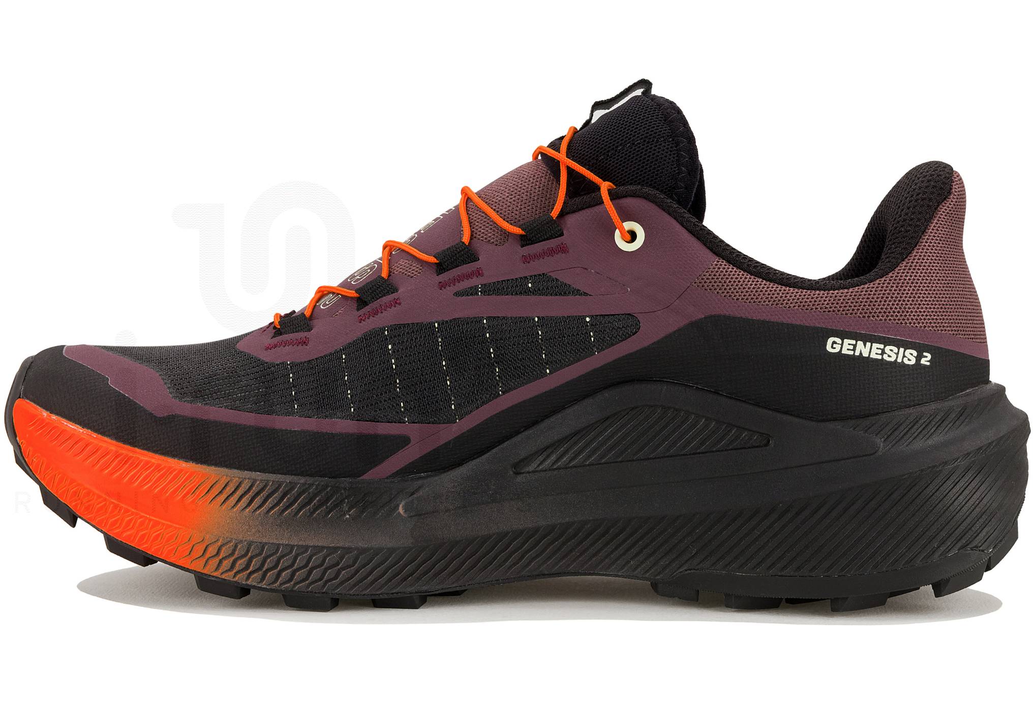 Salomon Genesis 2