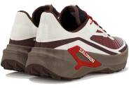 Salomon Genesis 2