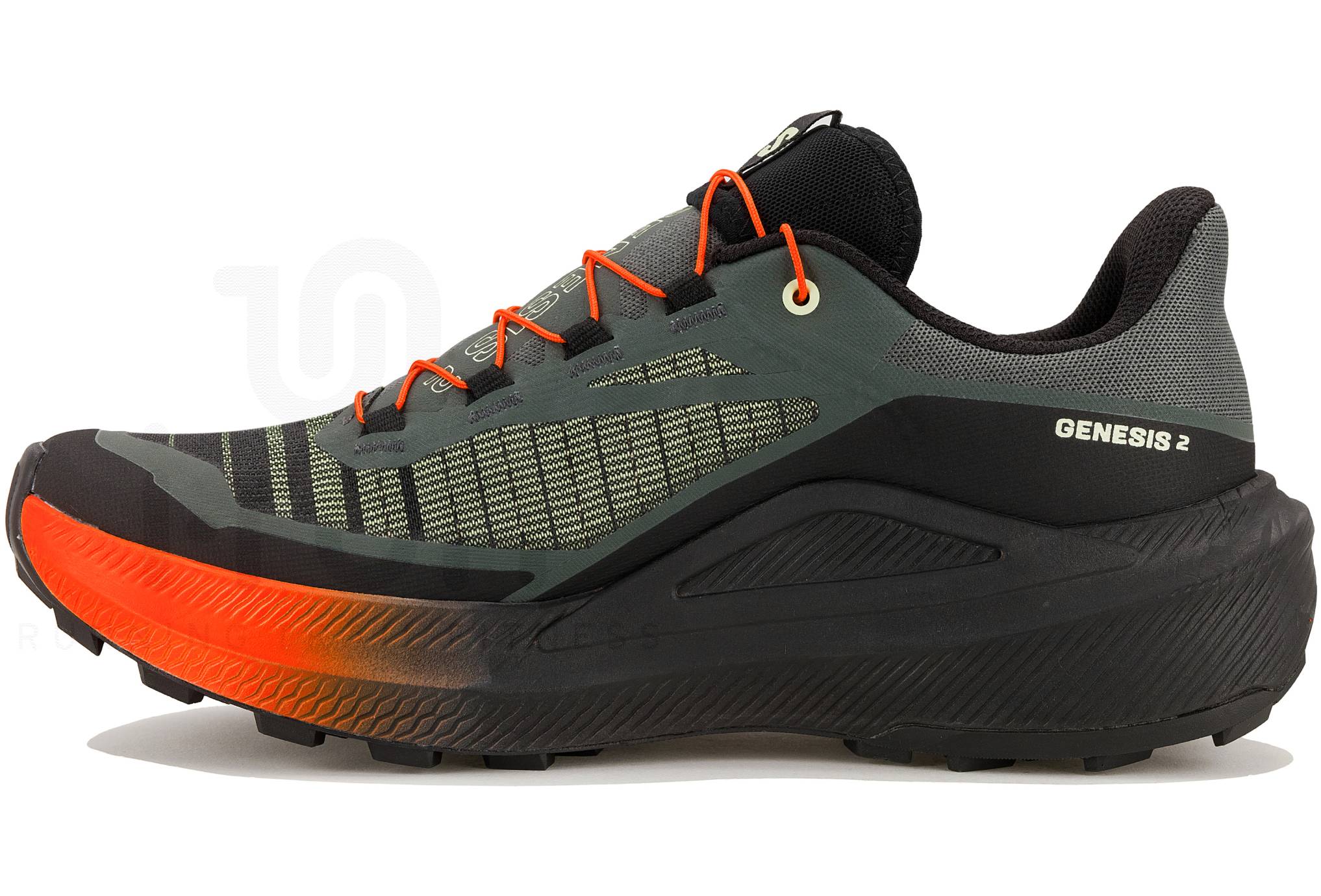 Salomon Genesis 2