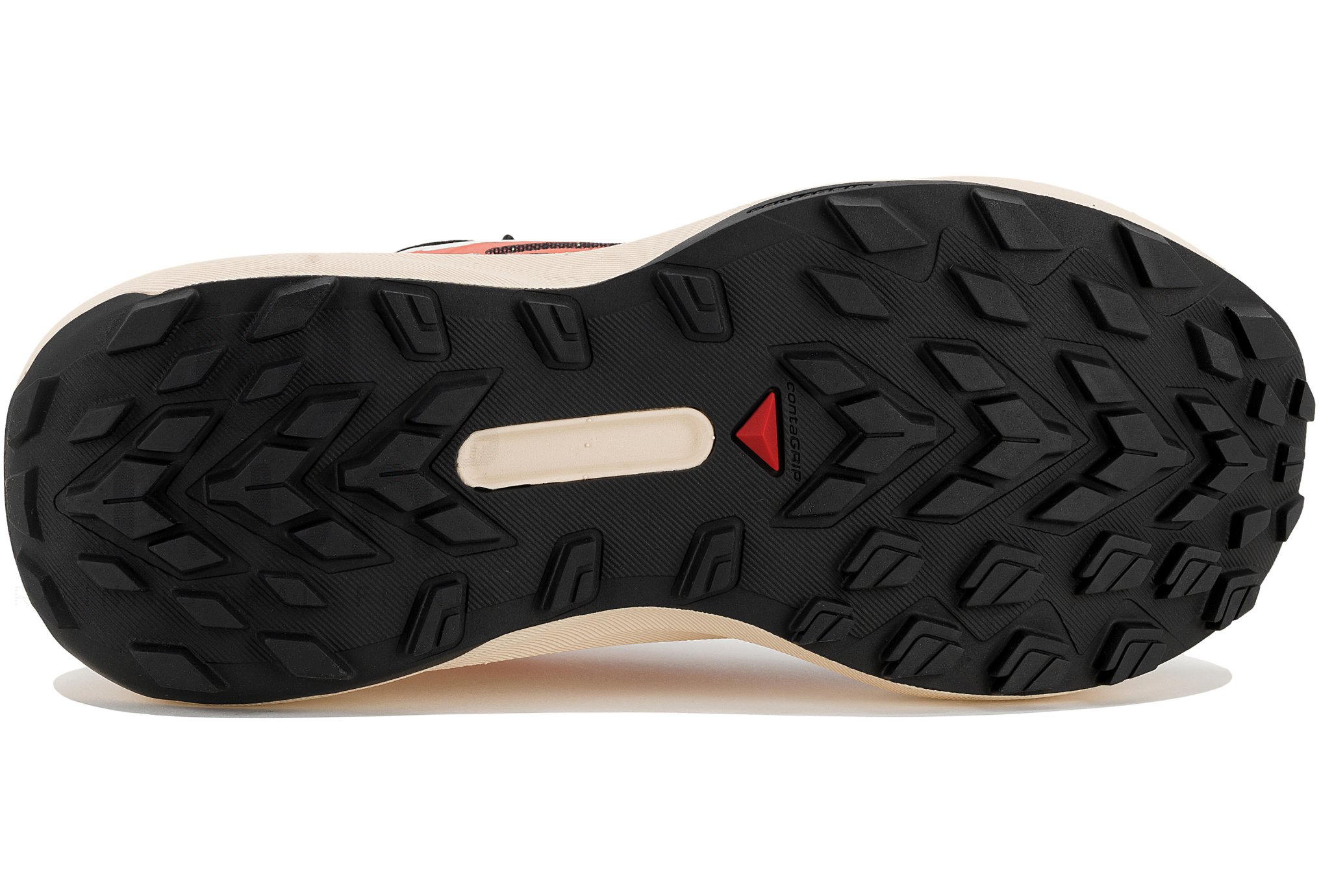 Salomon Genesis