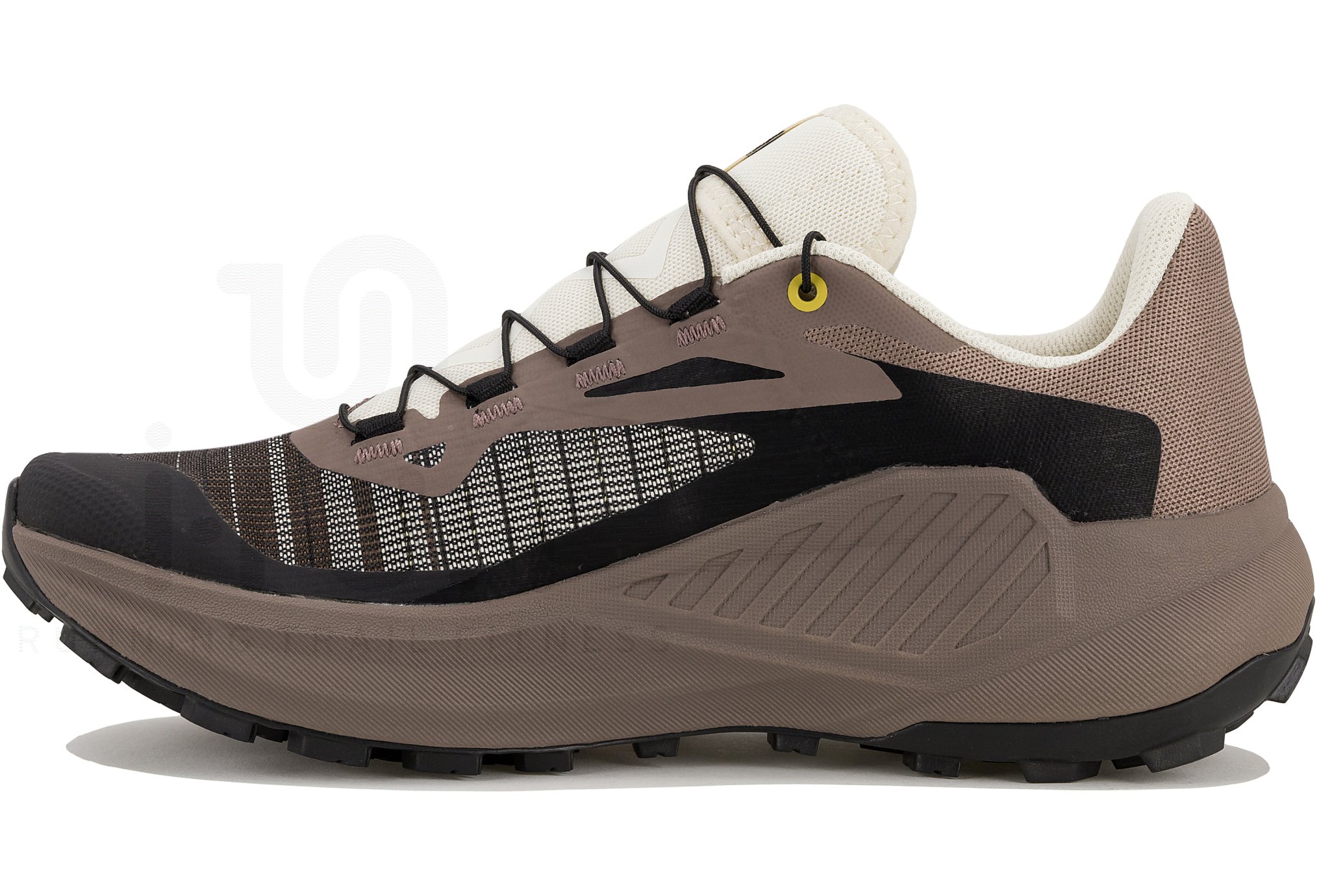Salomon Genesis