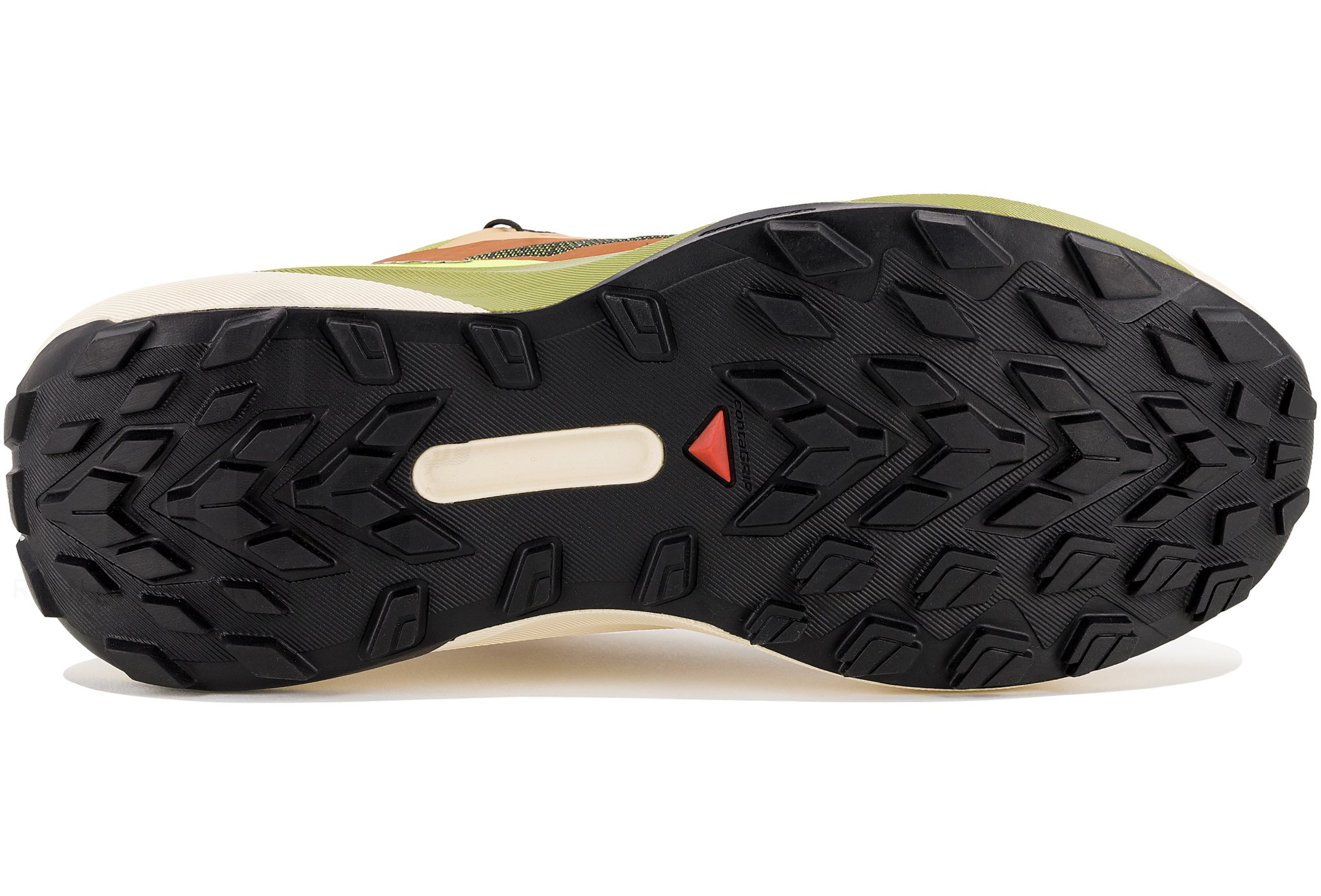 Salomon Genesis Into The Wild