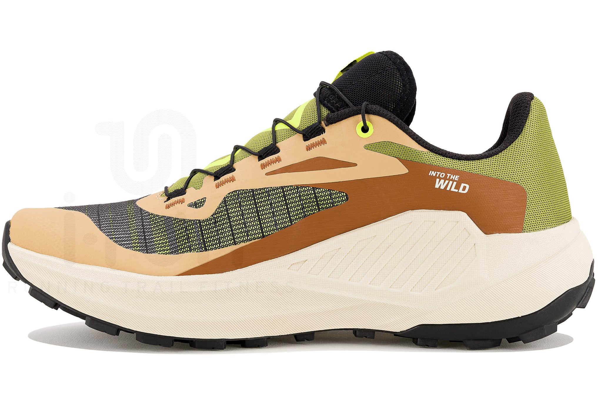 Salomon Genesis Into The Wild